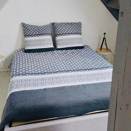 L'atelier Cosy *